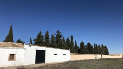 Tapia del cementerio de Carrión de Calatrava. Recuperada de https://www.mapasdememoria.com/fosas/carrion-de-calatrava/